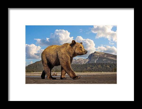 Brown Bear in Scenic Landscape - Framed Print