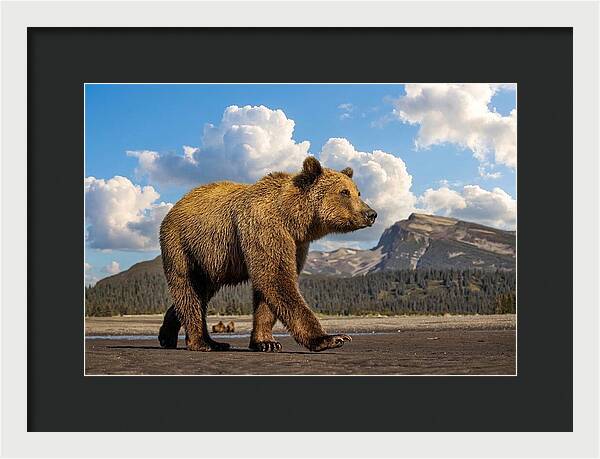 Brown Bear in Scenic Landscape - Framed Print