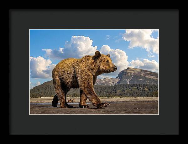 Brown Bear in Scenic Landscape - Framed Print