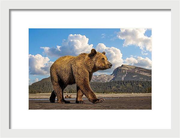 Brown Bear in Scenic Landscape - Framed Print