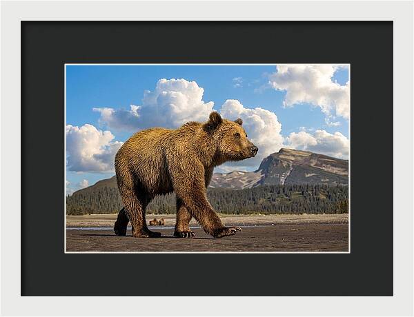 Brown Bear in Scenic Landscape - Framed Print