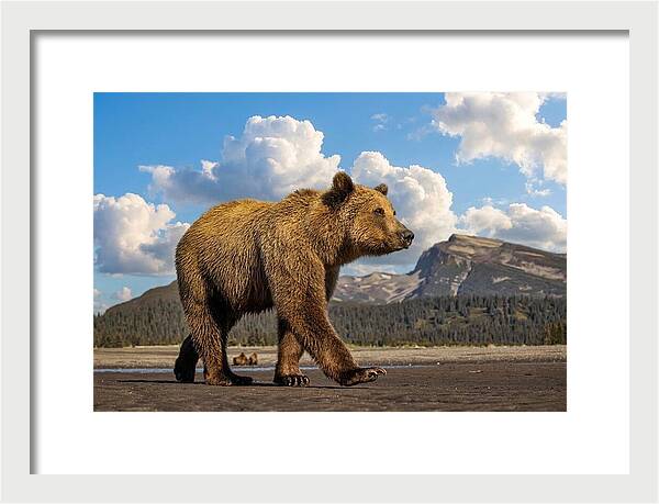 Brown Bear in Scenic Landscape - Framed Print